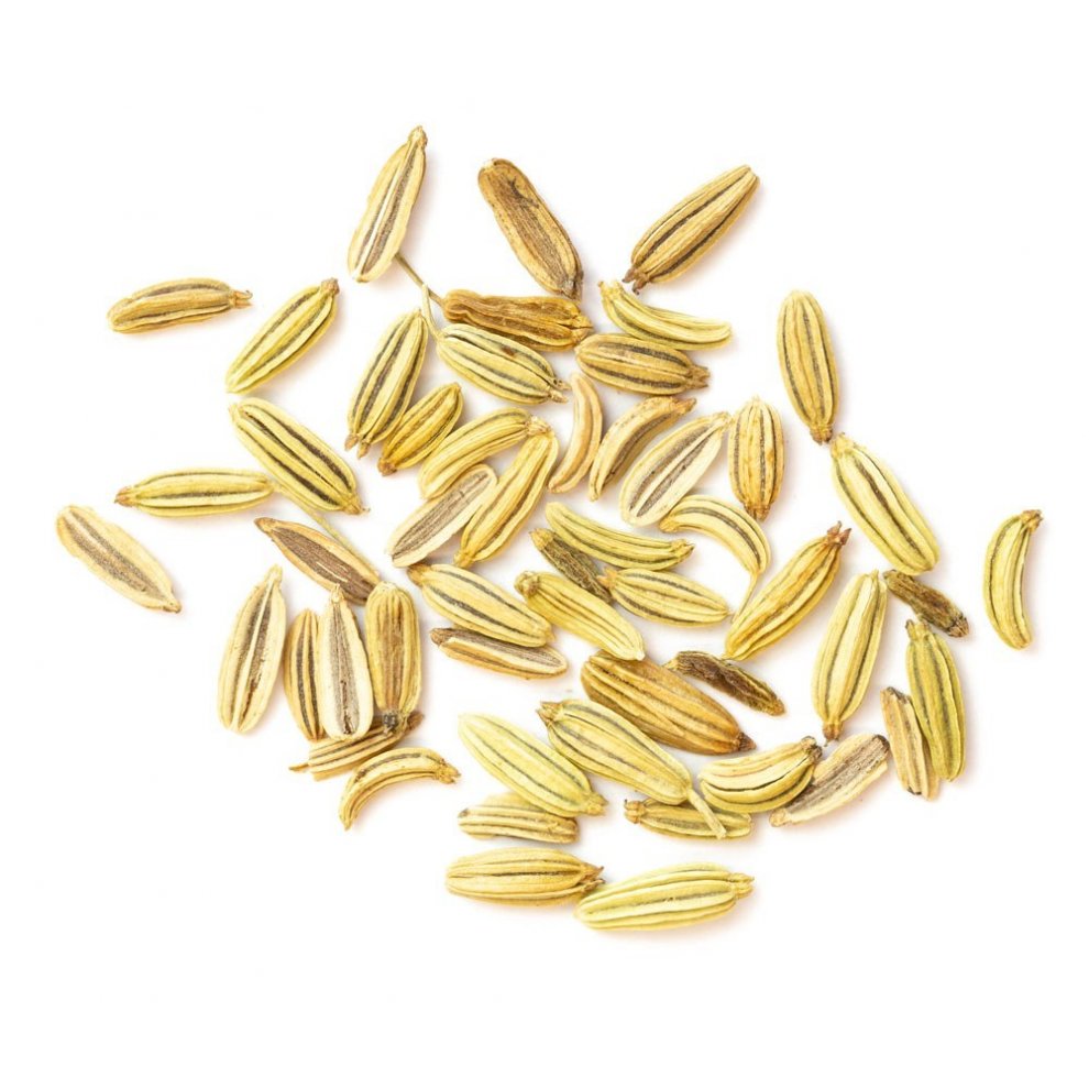 Nahaufnahme von losen Fenchelsamen mit ihrer charakteristischen gelblich-braunen Farbe.