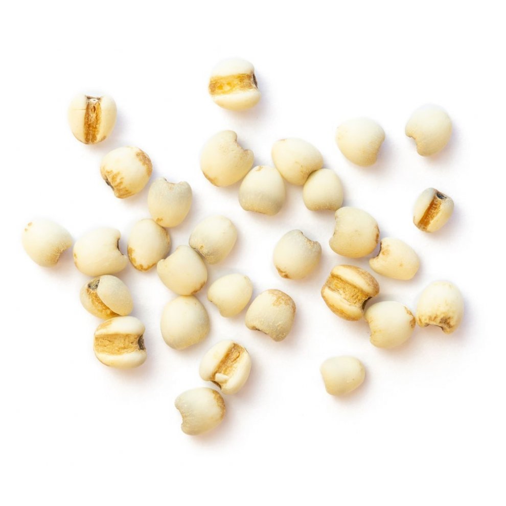 Nahaufnahme von Hiobstränensamen – vielseitig und nährstoffreich.