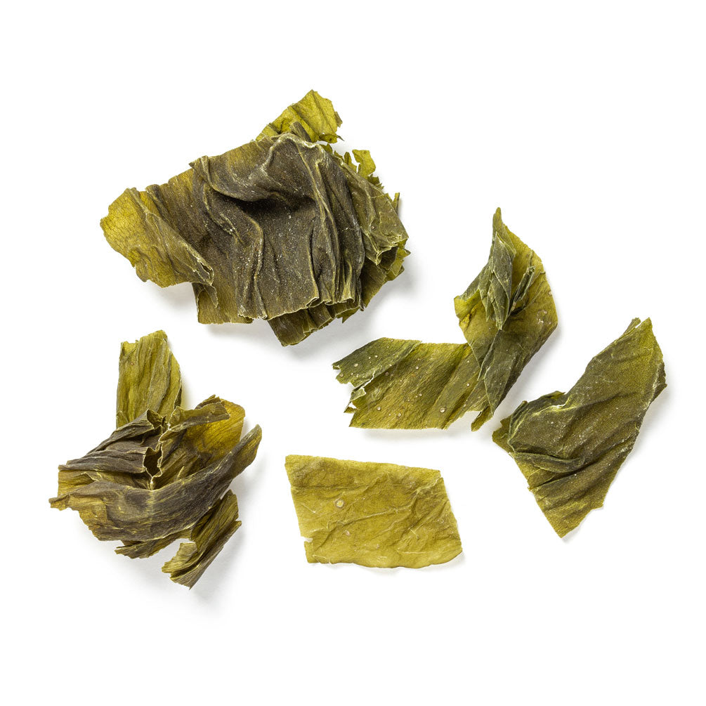 Getrocknete Kombu-Algen auf weißem Hintergrund – vielseitig und reich an Mineralstoffen.