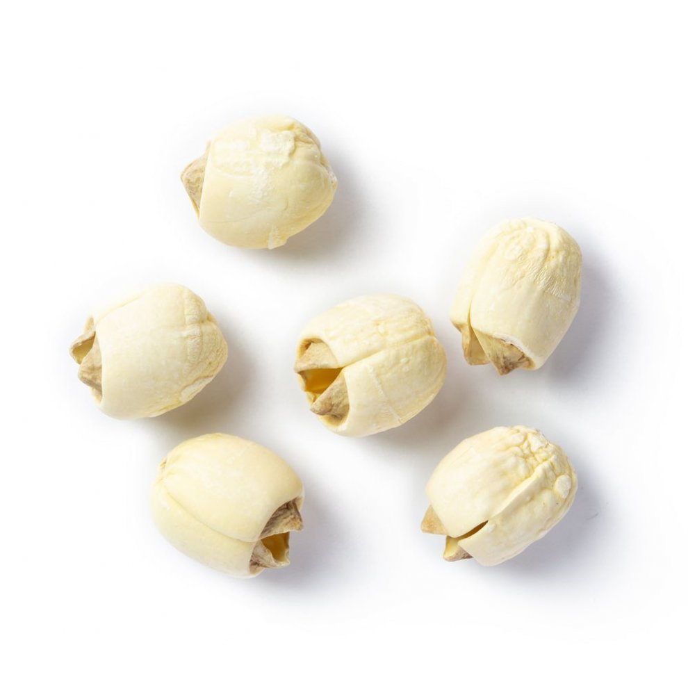 Lotussamen Einzelansicht: Nahaufnahme von hellen Lotussamen auf weißem Hintergrund.