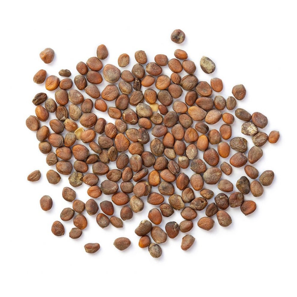 Hochwertige Rettichsamen für die Zubereitung von Tees oder als Gewürz.