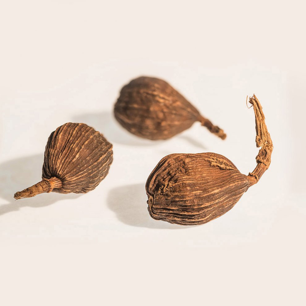 Drei ganze schwarze Kardamomkapseln (Tsaoko) auf hellem Hintergrund, mit natürlicher, rauer Oberfläche.