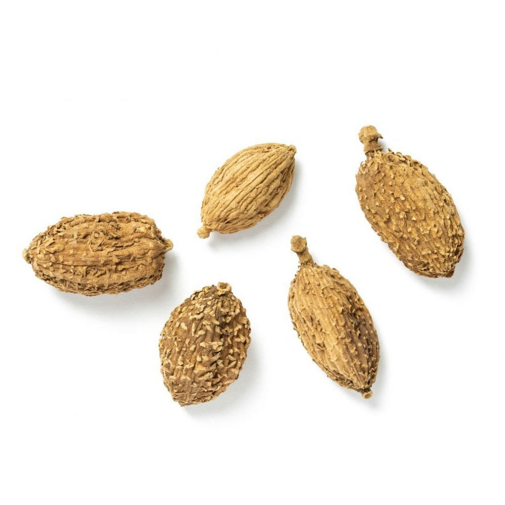 Fünf ganze Sha Ren-Kardamomkapseln mit rauer Oberfläche auf weißem Hintergrund, aromatisch und vielseitig einsetzbar.