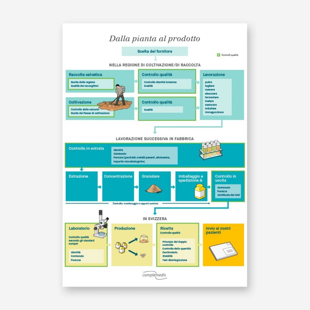 Plakat in italienischer Sprache, das den Herstellungsprozess von TCM-Produkten von der Pflanze bis zum Endprodukt anschaulich zeigt.
