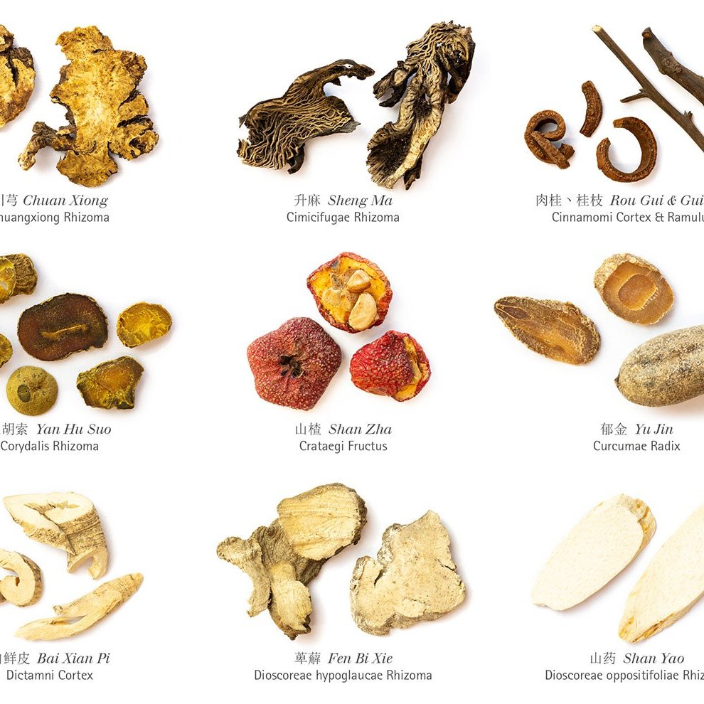 Nahaufnahme von Rohdrogen auf dem Plakat, sodass man sieht, wie die Bezeichnungen jeweils abgebildet werden.