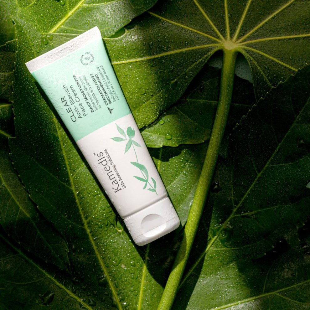 Tube der Kamedis Anti-Blemish Face Cream "CLEAR" auf großen, mit Wassertropfen bedeckten grünen Blättern. Natürliche Hautpflege für unreine & fettige Haut.
