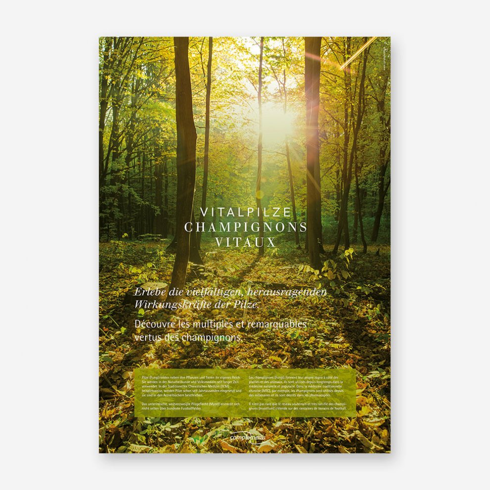 Vitalpilz-Poster mit stimmungsvollem Waldfoto und Einführungstext zu den Wirkkräften der Pilze auf Deutsch und Französisch.