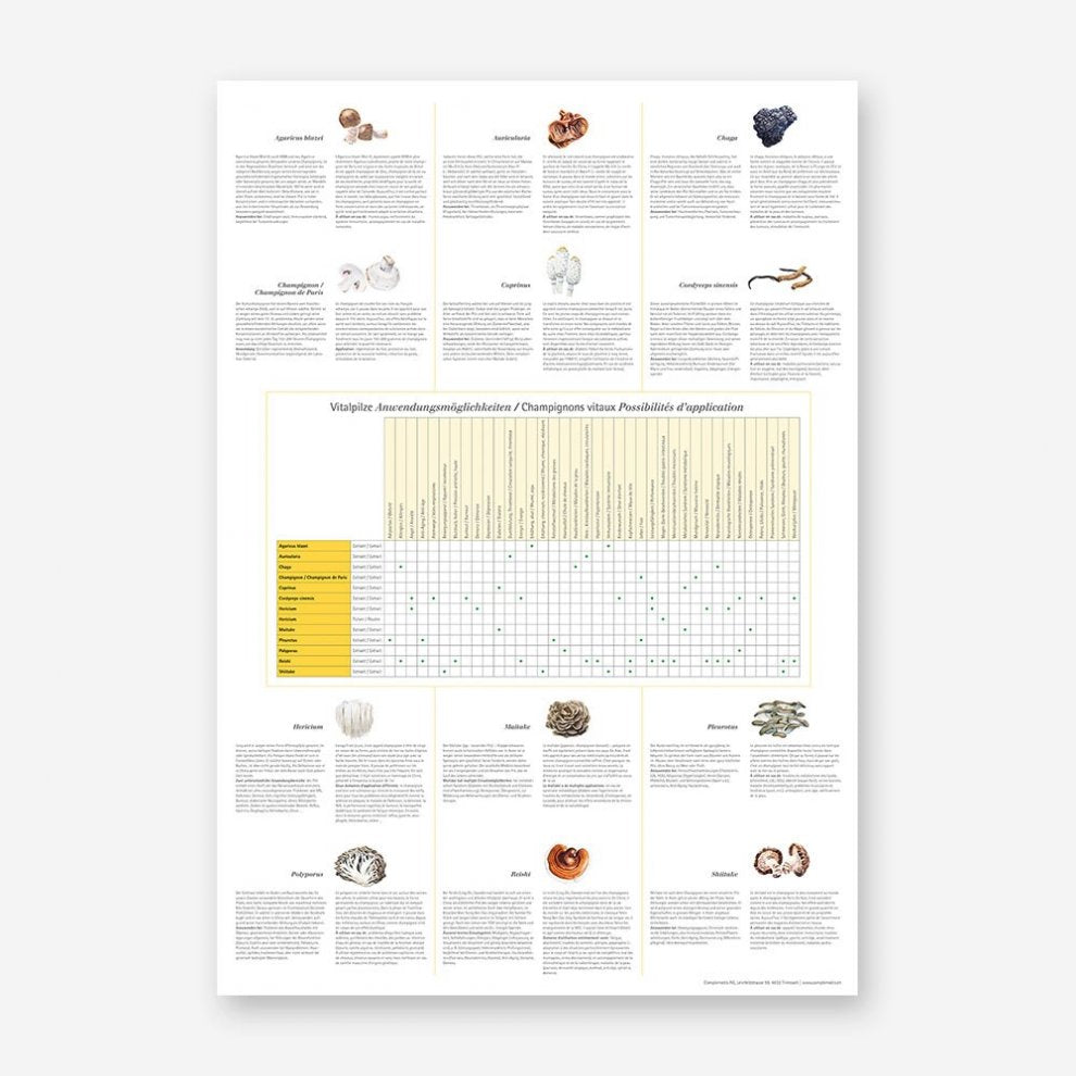 Vitalpilz-Poster mit detaillierter Tabelle zu Anwendungsmöglichkeiten und Kurzbeschreibungen von Heilpilzen wie Reishi, Shiitake, Maitake und Cordyceps.